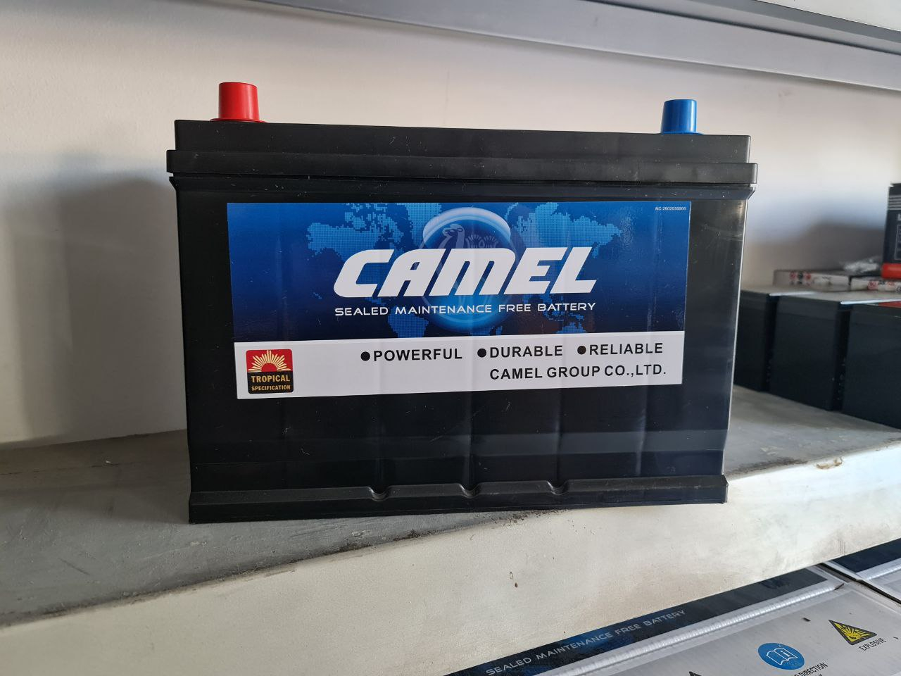 Купить запчасть CAMEL - CAM60 Camel 6CT-60A (Щелочной)