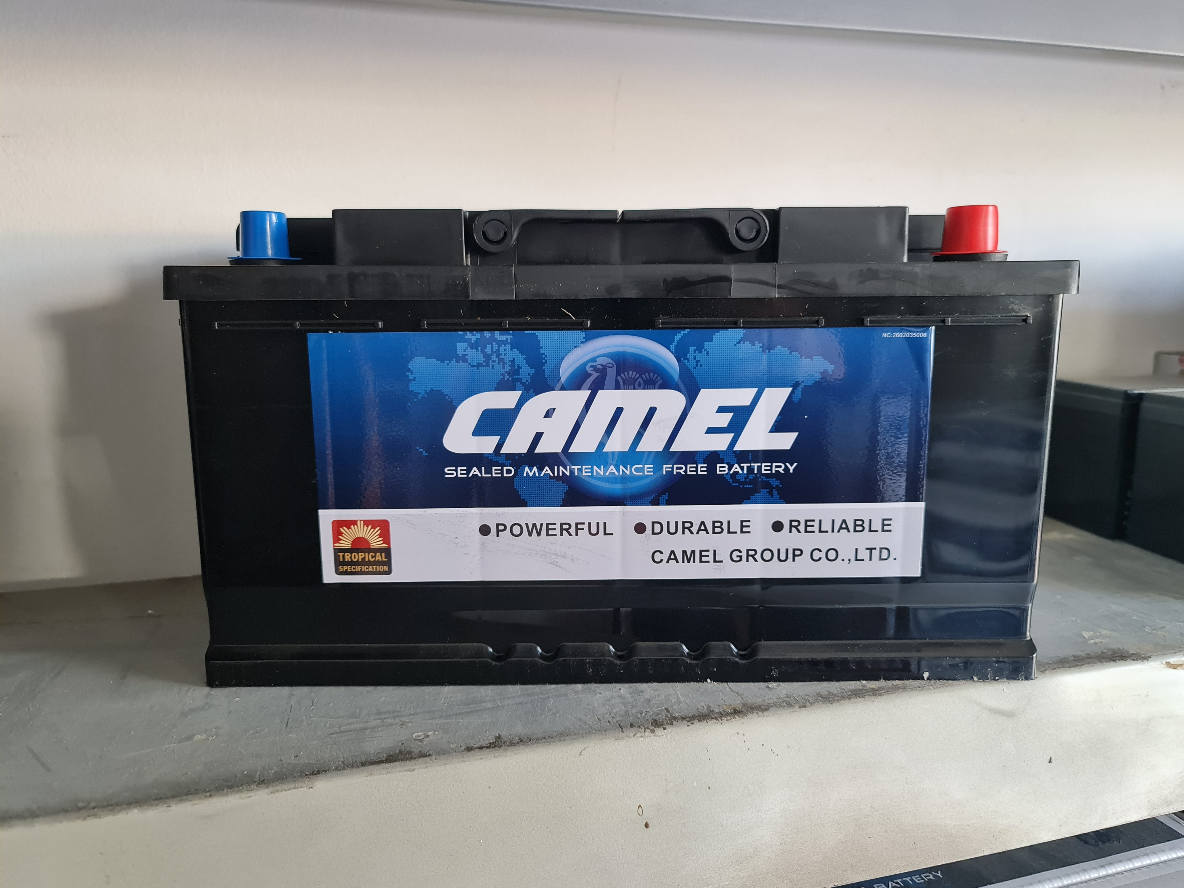 Купить запчасть CAMEL - CAM100 Camel 6CT-100A (Щелочной)