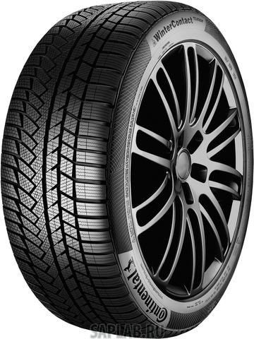 Купить CONTINENTAL 0355301 Шины Continental CONTIWINTERCONTACT TS860 195/45R17 81H