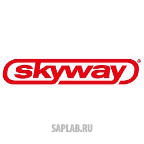 Купить запчасть SKYWAY - ST10HP1WBR 